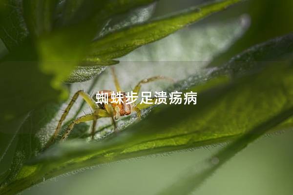 蜘蛛步足溃疡病