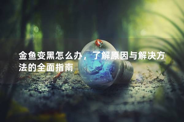 金鱼变黑怎么办，了解原因与解决方法的全面指南