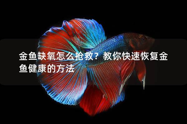 金鱼缺氧怎么抢救？教你快速恢复金鱼健康的方法