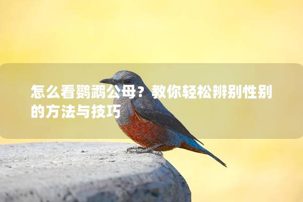 怎么看鹦鹉公母？教你轻松辨别性别的方法与技巧