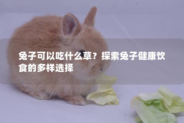 兔子可以吃什么草？探索兔子健康饮食的多样选择