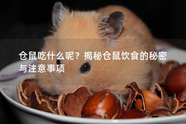 仓鼠吃什么呢？揭秘仓鼠饮食的秘密与注意事项