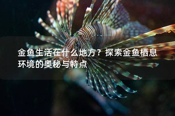 金鱼生活在什么地方？探索金鱼栖息环境的奥秘与特点