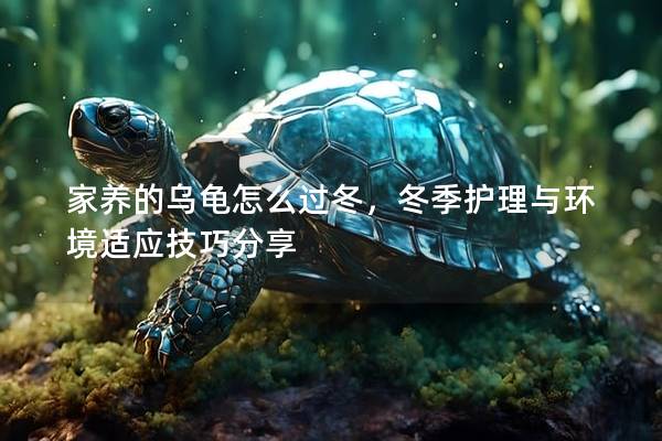 家养的乌龟怎么过冬，冬季护理与环境适应技巧分享