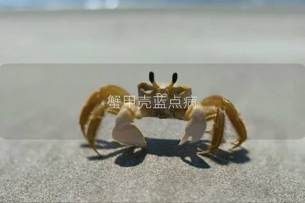 蟹甲壳蓝点病