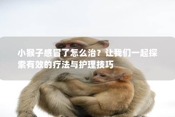 小猴子感冒了怎么治？让我们一起探索有效的疗法与护理技巧