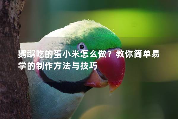 鹦鹉吃的蛋小米怎么做？教你简单易学的制作方法与技巧