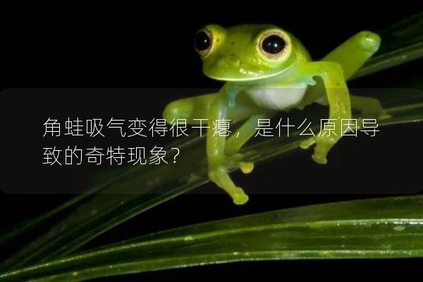 角蛙吸气变得很干瘪，是什么原因导致的奇特现象？