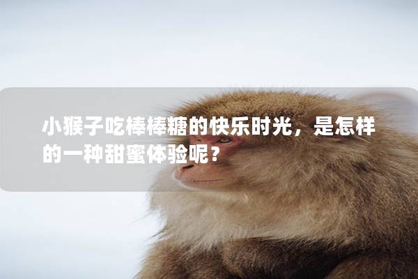 小猴子吃棒棒糖的快乐时光，是怎样的一种甜蜜体验呢？