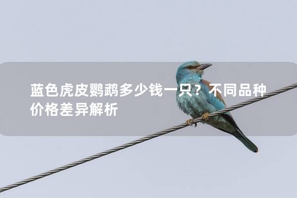 蓝色虎皮鹦鹉多少钱一只？不同品种价格差异解析