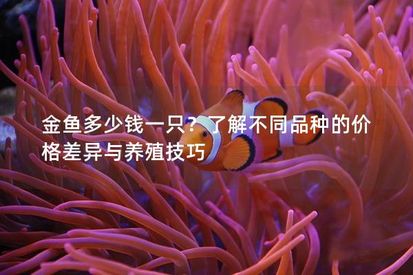 金鱼多少钱一只？了解不同品种的价格差异与养殖技巧