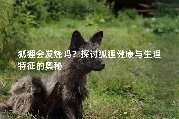 狐狸会发烧吗？探讨狐狸健康与生理特征的奥秘