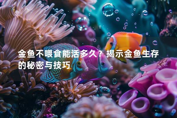 金鱼不喂食能活多久？揭示金鱼生存的秘密与技巧