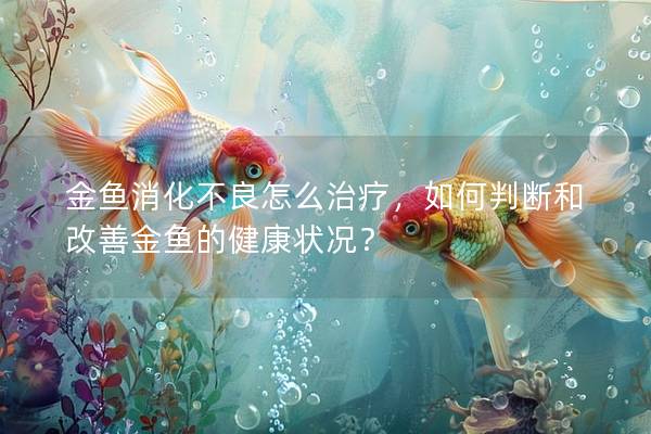 金鱼消化不良怎么治疗，如何判断和改善金鱼的健康状况？