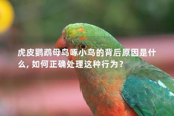 虎皮鹦鹉母鸟啄小鸟的背后原因是什么, 如何正确处理这种行为？