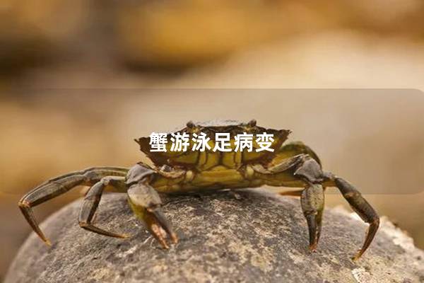 蟹游泳足病变