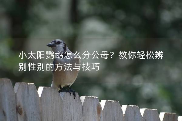 小太阳鹦鹉怎么分公母？教你轻松辨别性别的方法与技巧