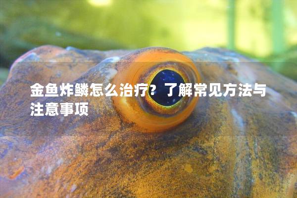 金鱼炸鳞怎么治疗？了解常见方法与注意事项