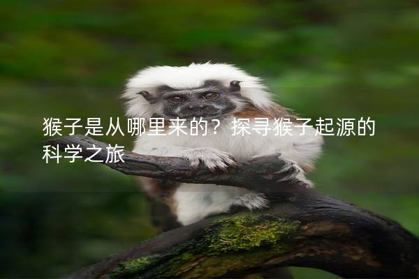 猴子是从哪里来的？探寻猴子起源的科学之旅