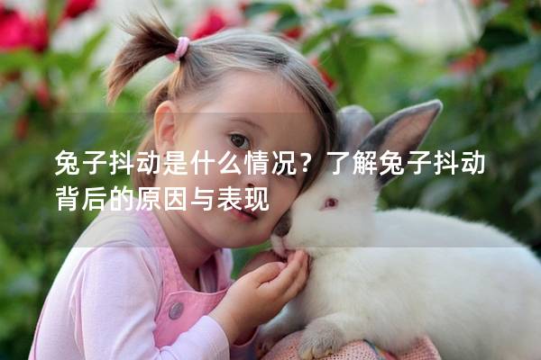 兔子抖动是什么情况？了解兔子抖动背后的原因与表现