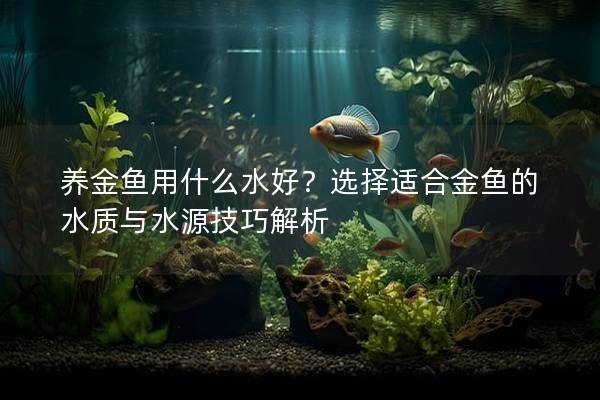 养金鱼用什么水好？选择适合金鱼的水质与水源技巧解析