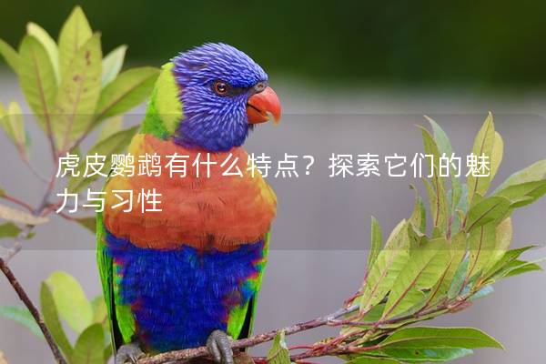 虎皮鹦鹉有什么特点？探索它们的魅力与习性