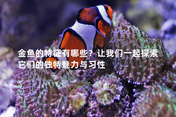 金鱼的特征有哪些？让我们一起探索它们的独特魅力与习性