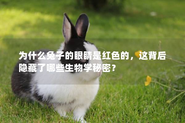 为什么兔子的眼睛是红色的，这背后隐藏了哪些生物学秘密？