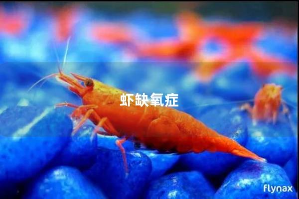 虾缺氧症