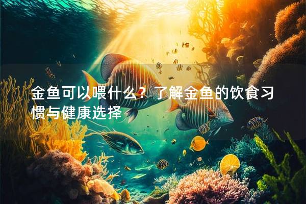 金鱼可以喂什么？了解金鱼的饮食习惯与健康选择