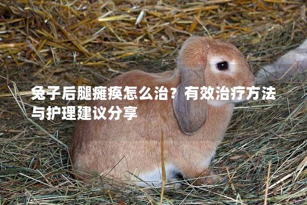 兔子后腿瘫痪怎么治？有效治疗方法与护理建议分享