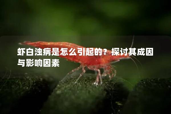 虾白浊病是怎么引起的？探讨其成因与影响因素