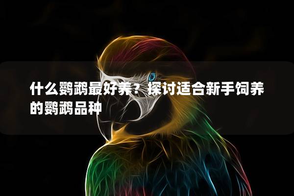 什么鹦鹉最好养？探讨适合新手饲养的鹦鹉品种