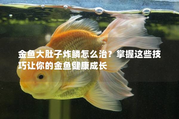 金鱼大肚子炸鳞怎么治？掌握这些技巧让你的金鱼健康成长