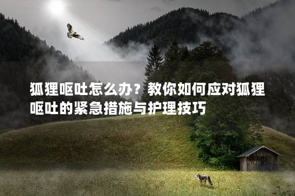 狐狸呕吐怎么办？教你如何应对狐狸呕吐的紧急措施与护理技巧