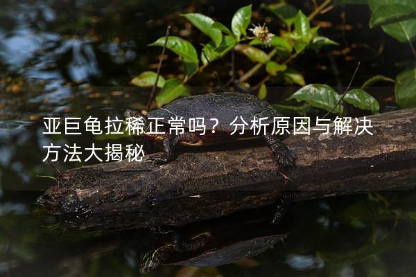 亚巨龟拉稀正常吗？分析原因与解决方法大揭秘