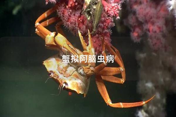 蟹拟阿脑虫病