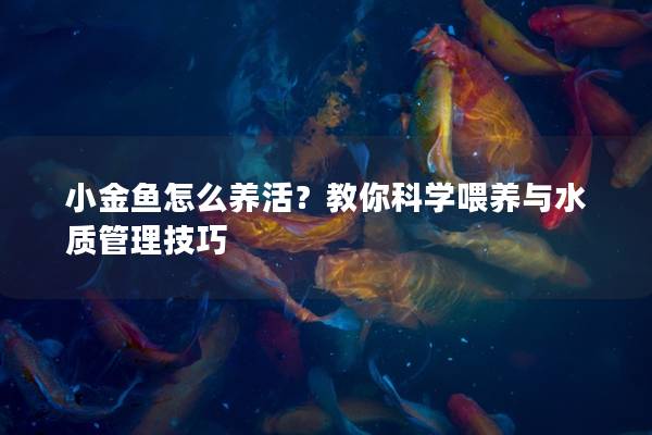 小金鱼怎么养活？教你科学喂养与水质管理技巧