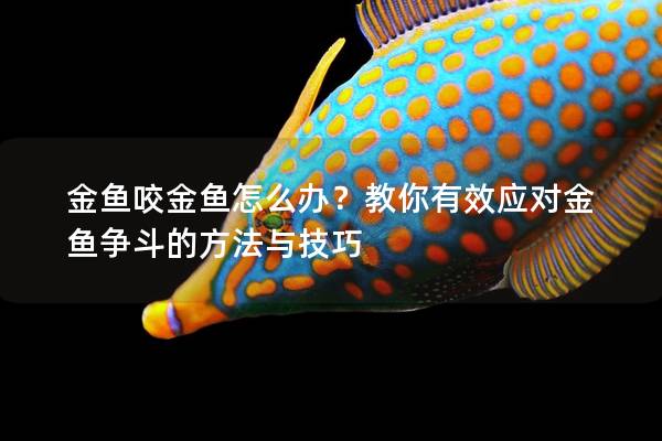 金鱼咬金鱼怎么办？教你有效应对金鱼争斗的方法与技巧