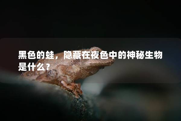 黑色的蛙，隐藏在夜色中的神秘生物是什么？