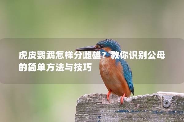 虎皮鹦鹉怎样分雌雄？教你识别公母的简单方法与技巧