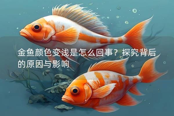 金鱼颜色变浅是怎么回事？探究背后的原因与影响