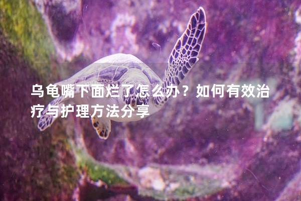 乌龟嘴下面烂了怎么办？如何有效治疗与护理方法分享