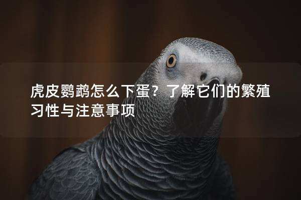 虎皮鹦鹉怎么下蛋？了解它们的繁殖习性与注意事项