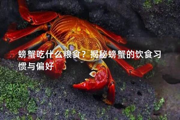 螃蟹吃什么粮食？揭秘螃蟹的饮食习惯与偏好