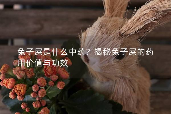 兔子屎是什么中药？揭秘兔子屎的药用价值与功效