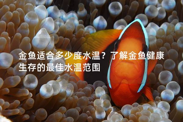 金鱼适合多少度水温？了解金鱼健康生存的最佳水温范围