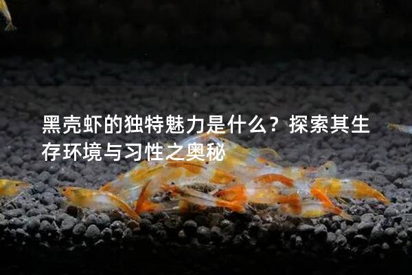 黑壳虾的独特魅力是什么？探索其生存环境与习性之奥秘