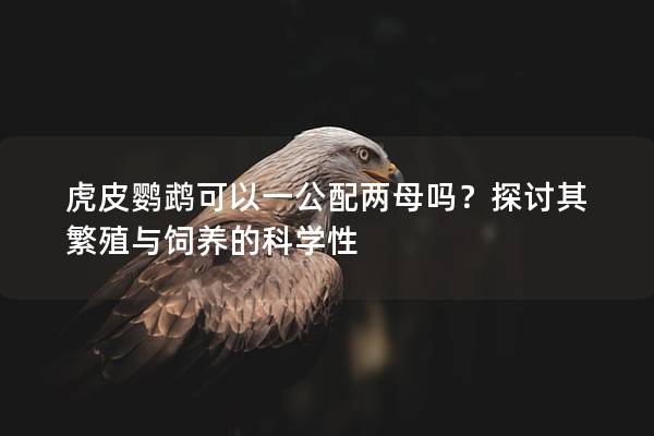 虎皮鹦鹉可以一公配两母吗？探讨其繁殖与饲养的科学性