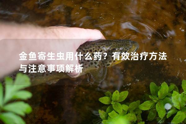 金鱼寄生虫用什么药？有效治疗方法与注意事项解析